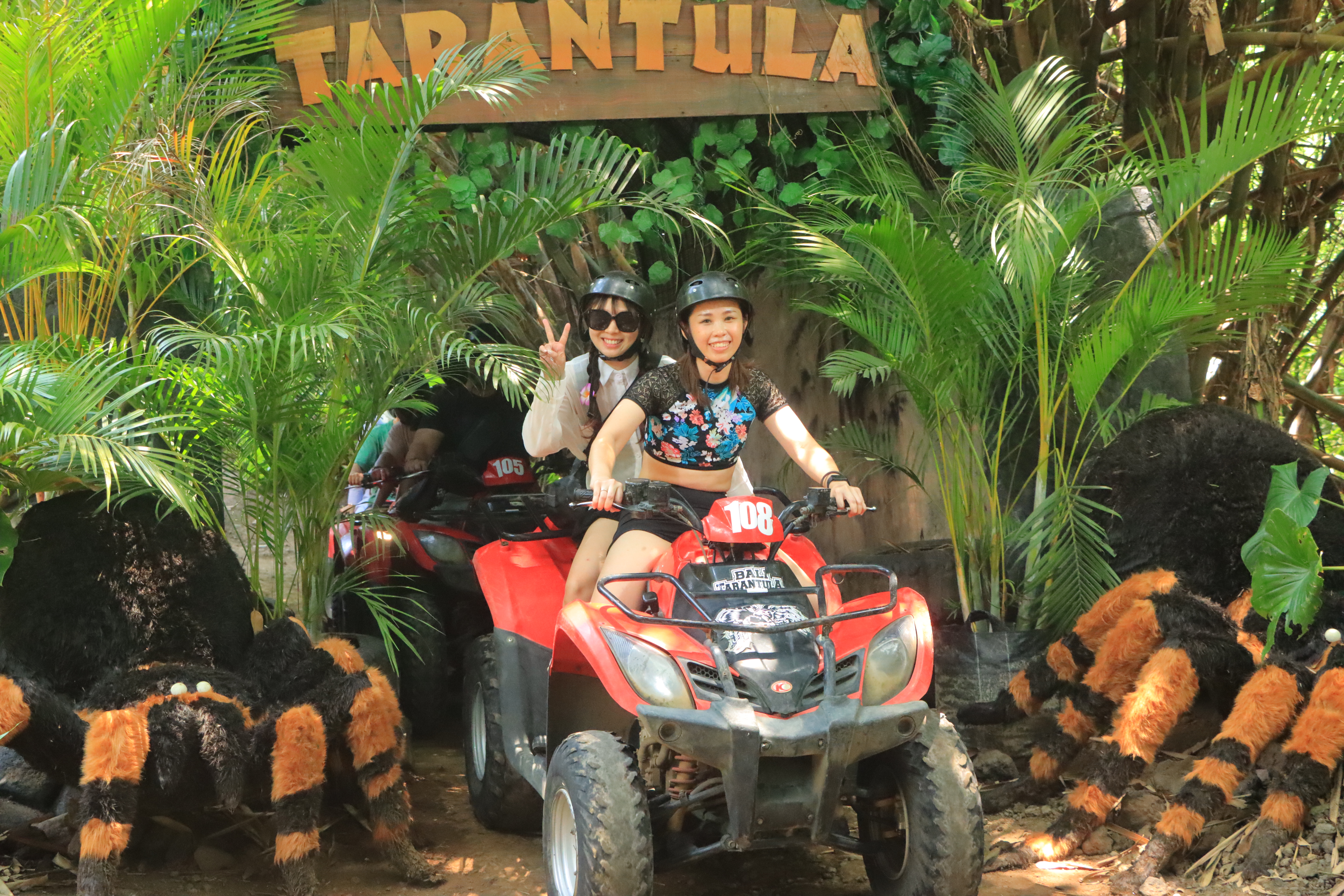 Tarantula Adventure